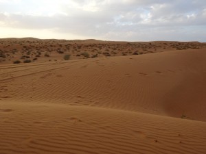 Wüste Al WAsil
