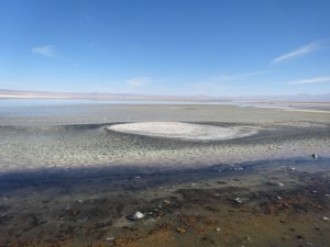 Laguna Chaxe, Atacama